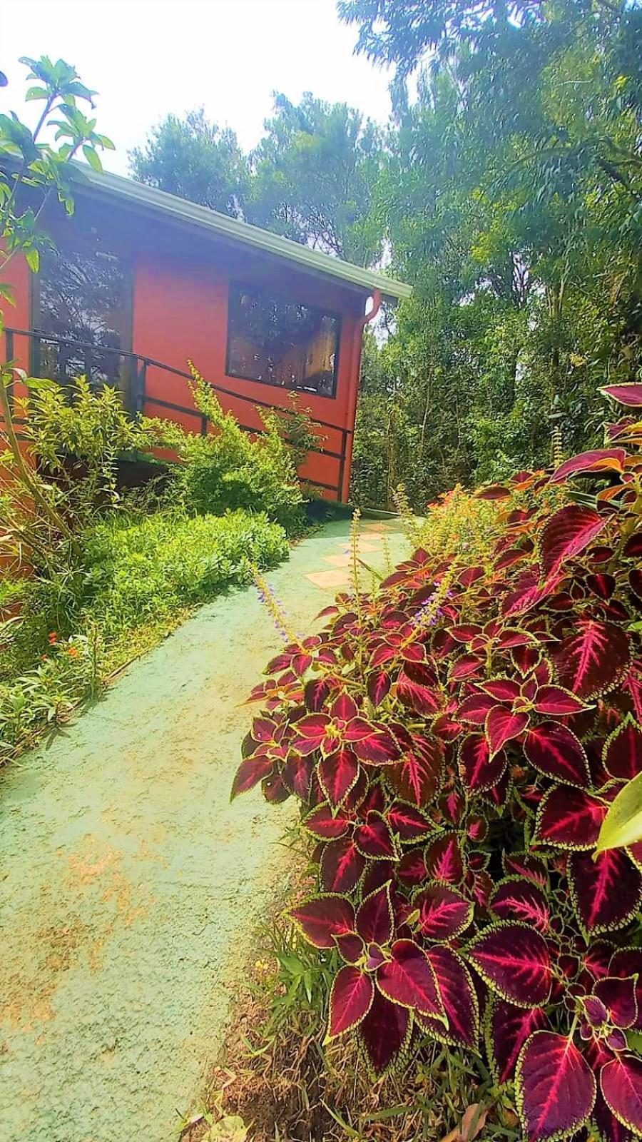 Vila Casa De Montana Tica Linda Monteverde Exteriér fotografie