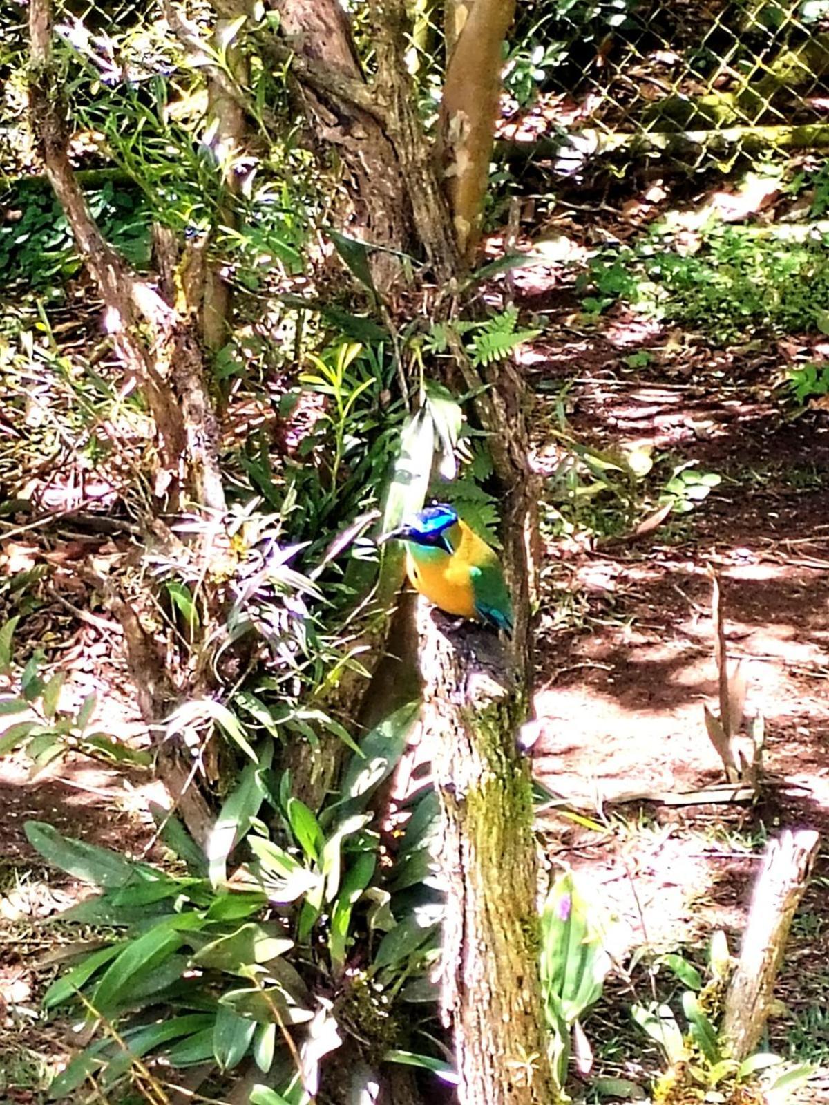Vila Casa De Montana Tica Linda Monteverde Exteriér fotografie